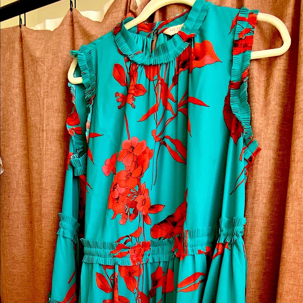 TED BAKER LONDON blue, red, and pink floral dress